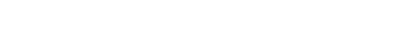 Curated System Experience