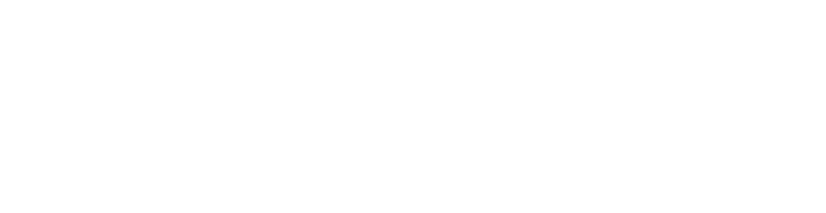 System Experience